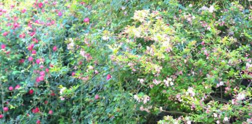 春假即将开启，研学福利等你查收！